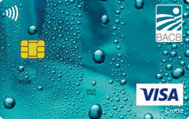 visa-classic